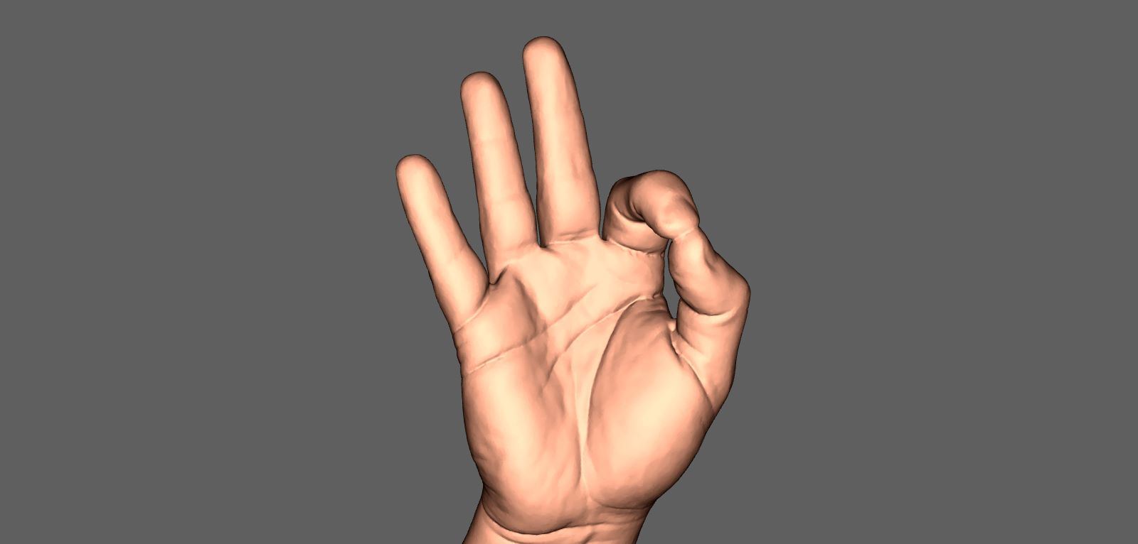 poseable hand 3d model online