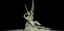 Picture of Psyche Revived by Cupid's Kiss at The Louvre, Paris