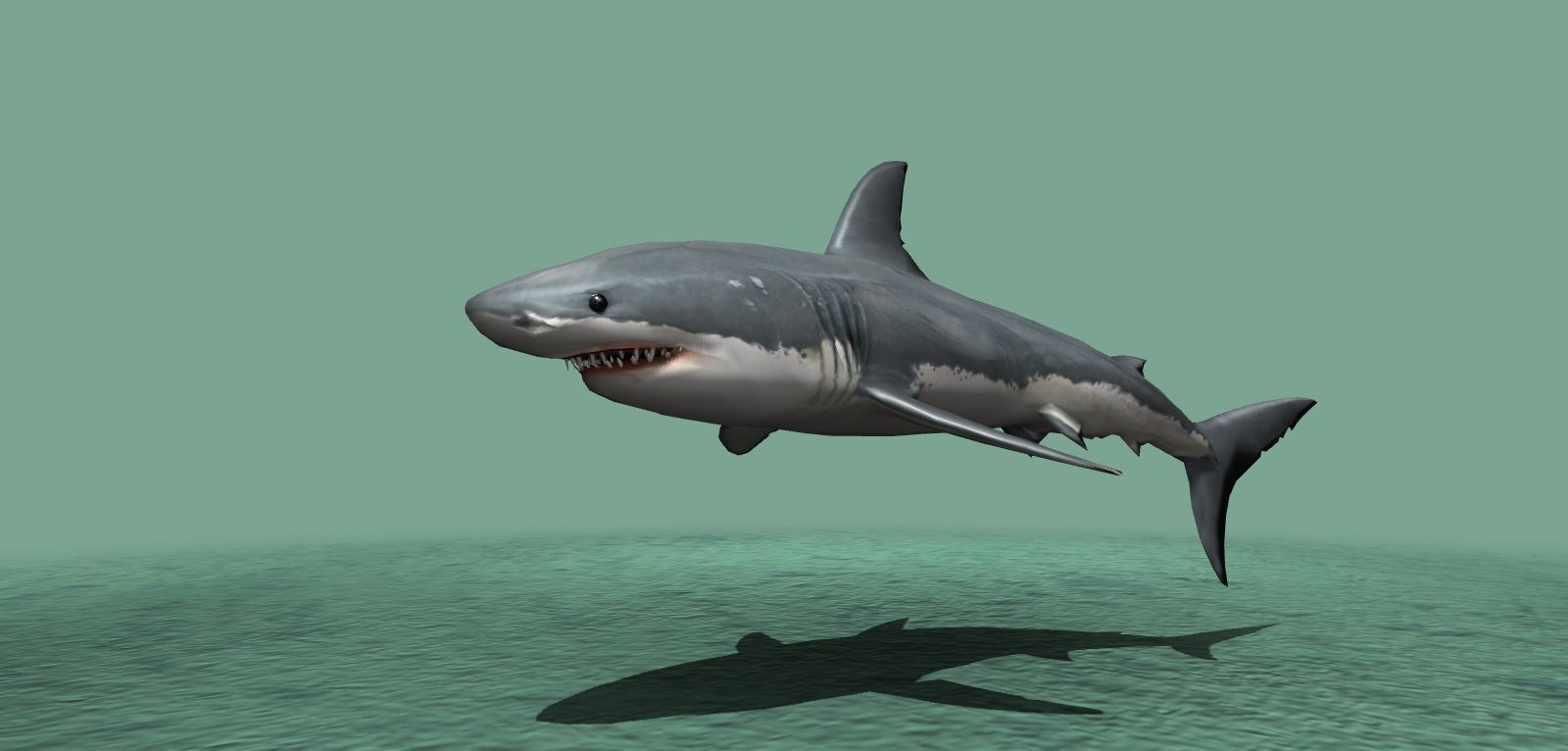 Great White Shark 3D Model ArtisGL 3D Publisher Online