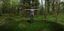Picture of women in sports wear in forest theme